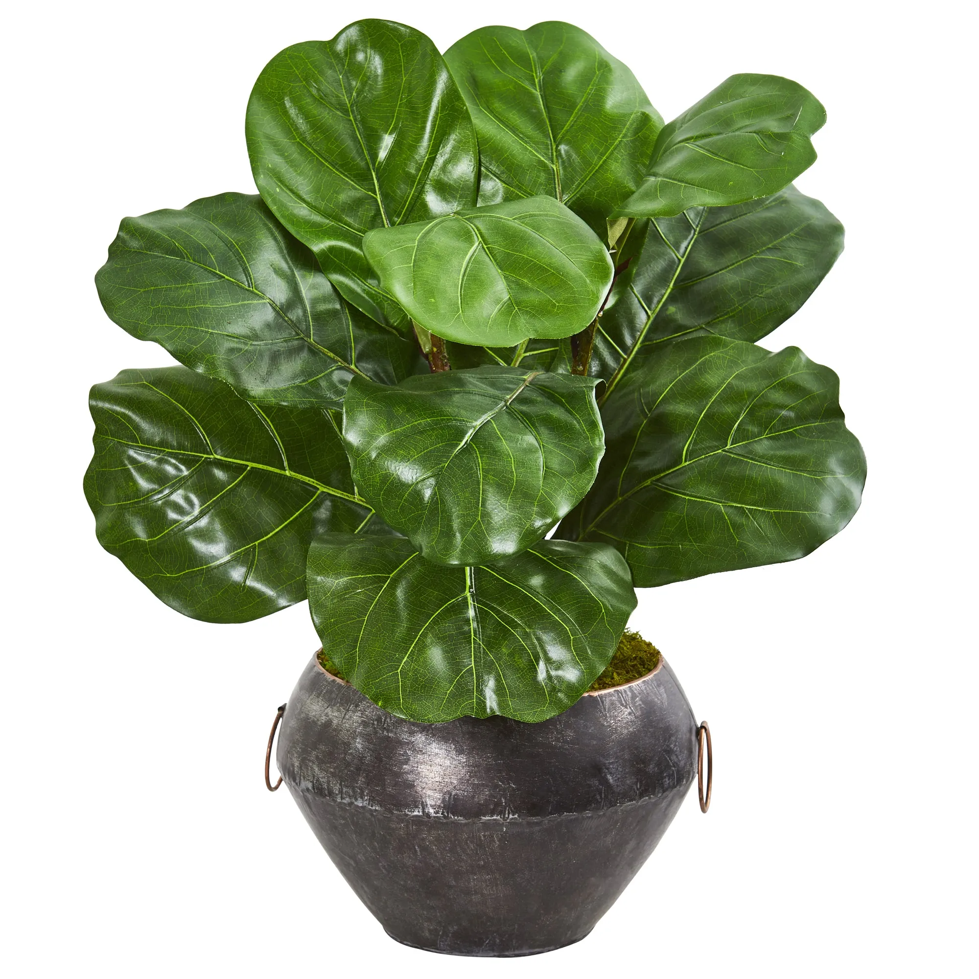 22" Artificial Fiddle Leaf Plant in Decorative Planter - Low Maintenance, Life-Like & Vibrant Silk Plants For Busy People.