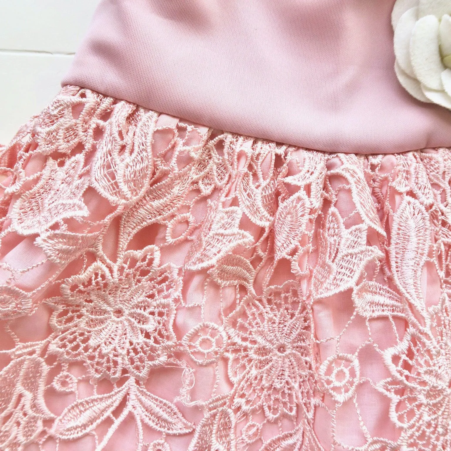 Iris Dress in Pink Neoprene & Shiny Lace