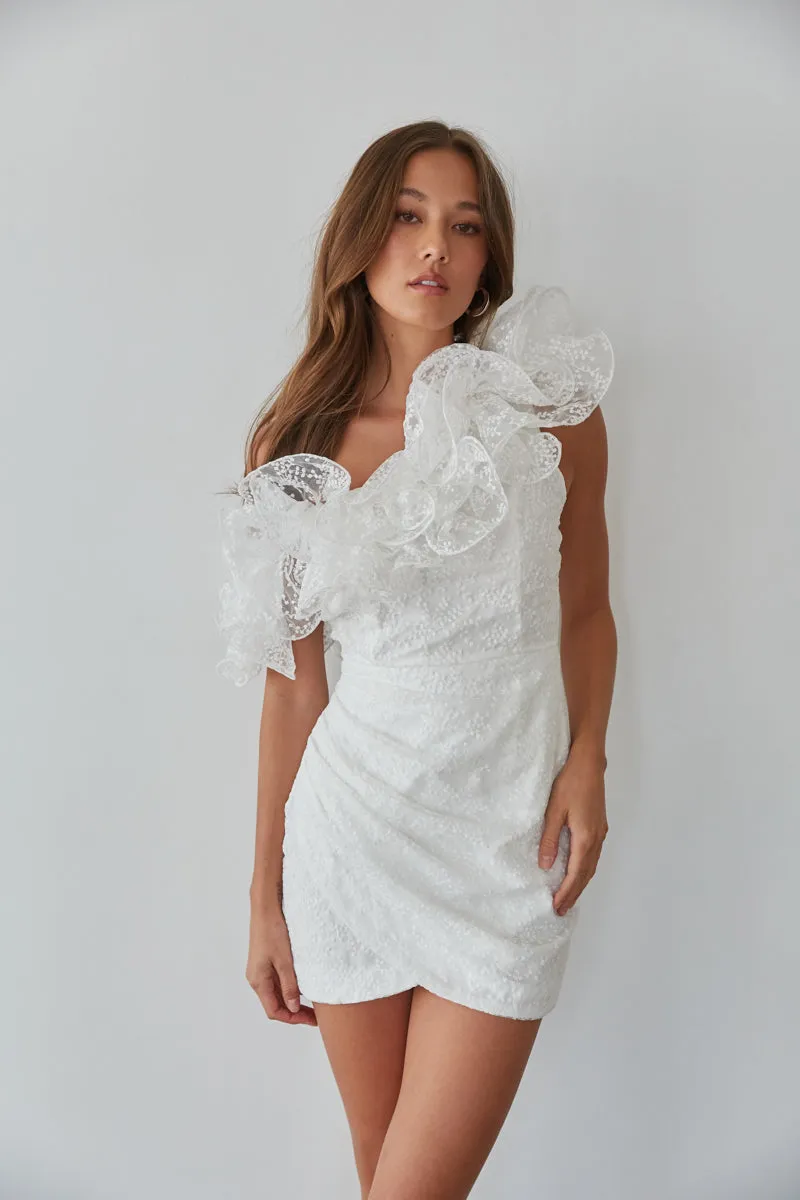 Krista Asymmetrical Embroidered Organza Ruffle Mini Dress