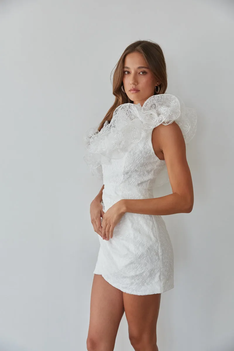 Krista Asymmetrical Embroidered Organza Ruffle Mini Dress