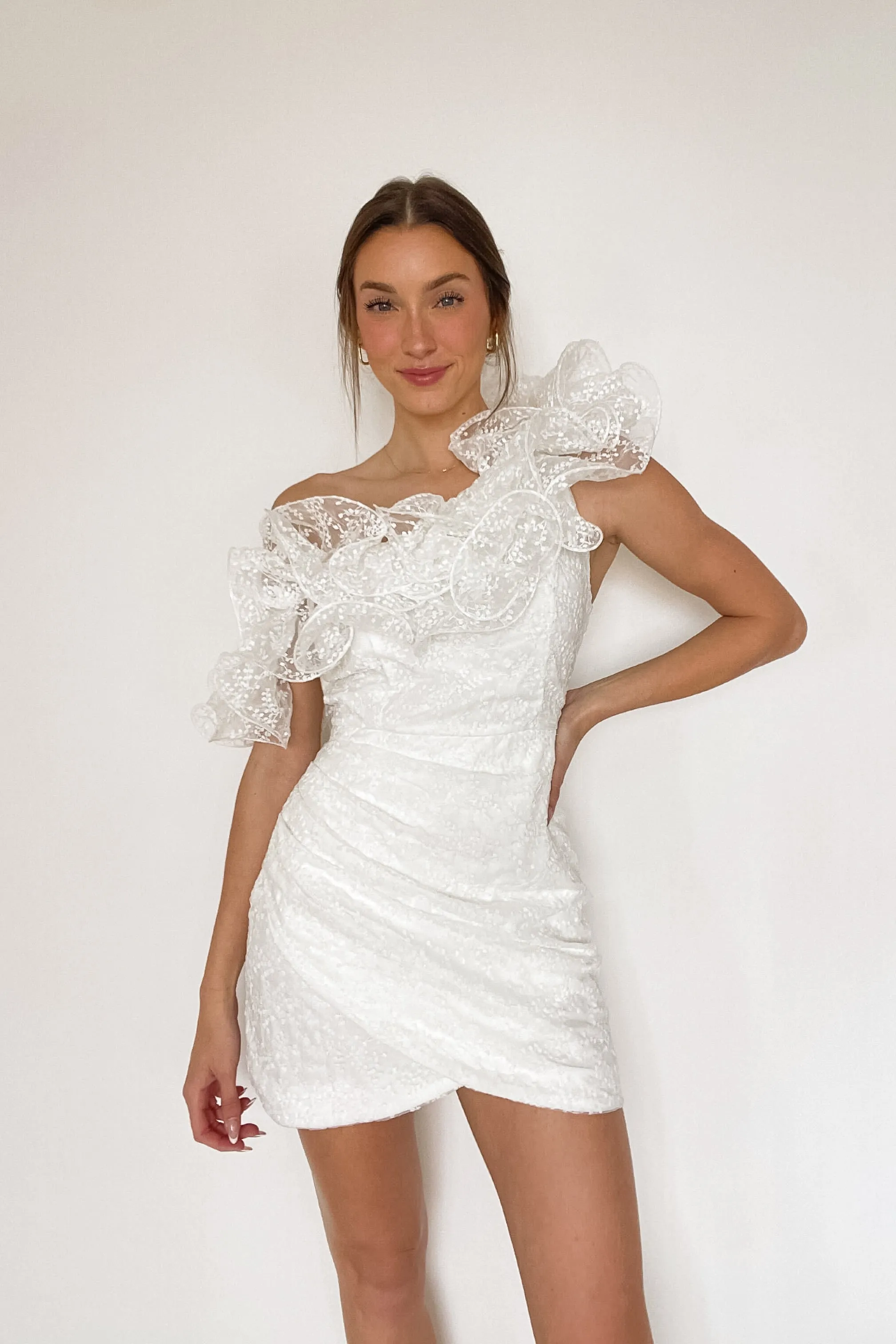 Krista Asymmetrical Embroidered Organza Ruffle Mini Dress