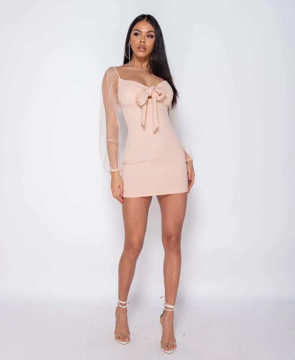 Pastel Tie Up Detail Long Sheer Sleeve Bodycon Mini Dress